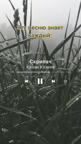 А ночью есть рекомендации? #песнипрошлого#скрипач#песни юности#старыепесни