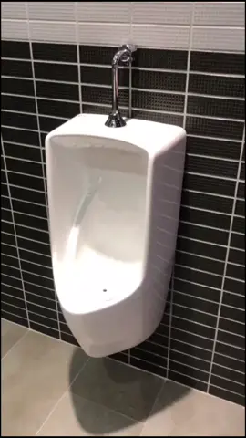 bồn tiểu nam inax#boncau #bontieunam #inax #thietbivesinh #boncau #bontam #lavabo