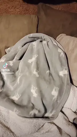 Lazy vibes! #flufftortilla #burrtio #kidlife #amazon #boredvibes #screentime #fluffyblanket #fort