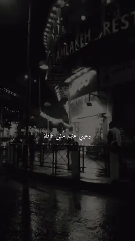 🎶 #راشد_الماجد #صاحي_لهم #اغاني_خليجية #fyp #اكسبلور #تصويري #الاردن_عمان #وسط_البلد #night #rashed_almajid