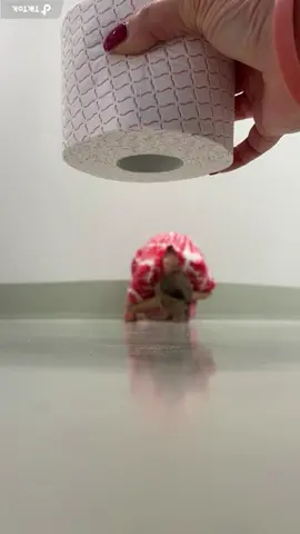 I've been turned into balls by toilet paper 😰 Morgen tutorial 🎥