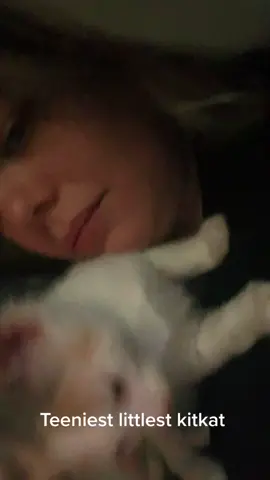 #catsoftiktok #elliethecat #thelastofusellie #thelastofus