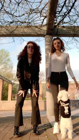 siamo troppo belle ciao @alexandraioana62 #fructismostraituoiricci #RayBanElevatorDance #TAPANDMOVE #fyp #neiperte