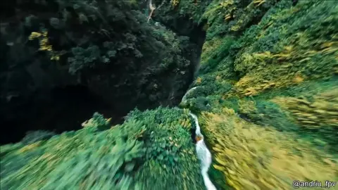 Drone view of the rainforest!#drone #jungleview #rainforest #forestview #Jungle #droneview #droneviewforest��