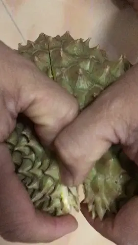 #อร่อยไปกับเฮีย #ทุเรียนหมอนทองหน้าบ้าน #ทุเรียนหมอนทองยั้วๆจ้า #