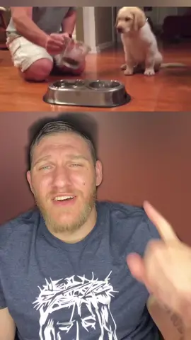 This is cool! #greenscreenvideo #puppy #pray #reppnforchrist #jesus