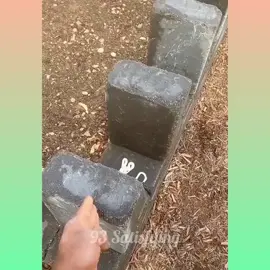 Best Oddly Satisfying Video  || Những video triệu view, Thõa mãn người xem trên Tik Tok #46