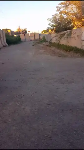 رجعنالكم بفيديو جديد رأيكم 