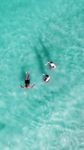 Jervis Bay 💎 #Summer #travel #travelaustralia #drone #gopro #fyp #foryoupage #travelgram #adventureneverends #jervisbay #trending #viral #summervibes