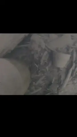 #sea #seaded #thetitanic