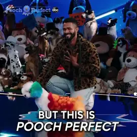 It’s tomorrow the premiere of #poochperfect on @abcnetwork 🤩 #creativegrooming #cutedog #doggo