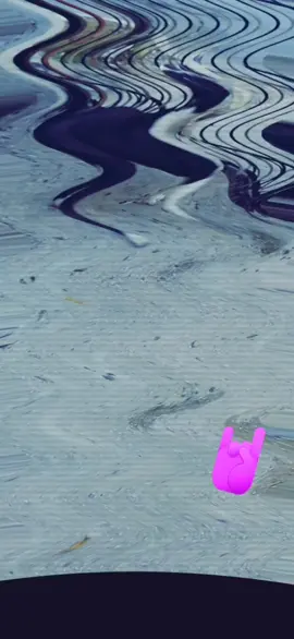 Pitbull's bully horadeentrenar