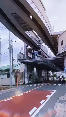 Do you want to try this way of travel?