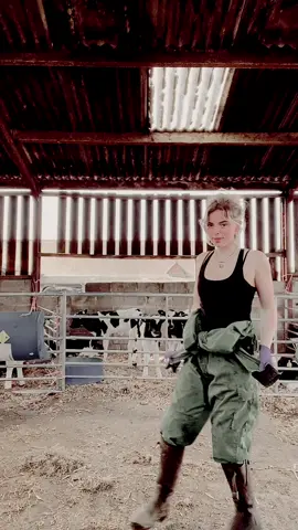 Loving this weather #hefierherd #countrylife #agrigirl #farminguk #agriculture #cows #countrygirl #johndeere #youngfarmer #argi