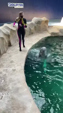 One of the ways we celebrated Dolphin Awareness Month! 🐬 #fyp #georgiaaquarium #foryou