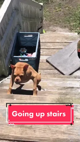 Ivy enters the speed force