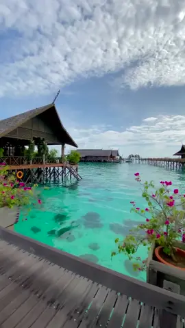 𝙁𝙞𝙣𝙙 𝙥𝙖𝙧𝙖𝙙𝙞𝙨𝙚 𝙬𝙝𝙚𝙧𝙚𝙫𝙚𝙧 𝙮𝙤𝙪 𝙜𝙤 #sipadankapalaidiveresort #kapalai #semporna #semporansabah #sabah #sabahtourism