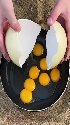 Fried Ostrich Egg on Lava #experiment #egg #experiments