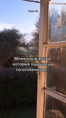А какие это моменты у тебя? 👀 Фотографии из видео в моем телеграме: Amelichev #эстетика #атмосфера #memories