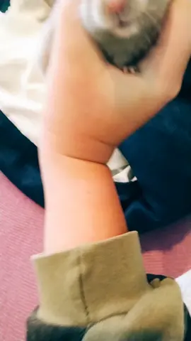 #HamsterLovesWavin