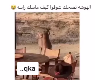 ههههههههههههههههههههههههههههههههه ههههههههههههههههههههههههههههههههه ههههههههههههههههههههههههههههههههه