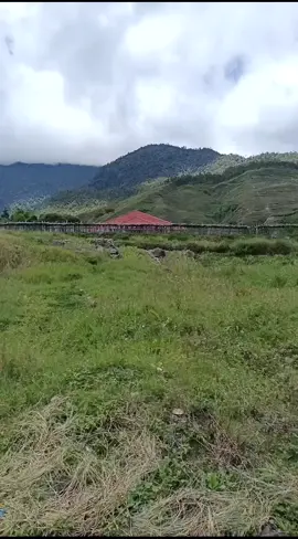 suasana di pagi hari..tampak dari penginapan Mulia In.. Distrik Mulia Kab. Puncak Jaya.  #mulia #visitpapua #visitindonesia