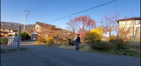 Rất tự hào khi mình đã học được đức tính tốt từ người Nhật😂#namhip #anhthohan