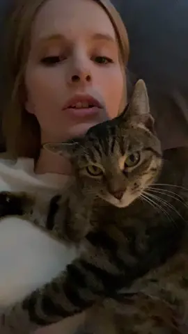 My little imitator 😍 #Scout #cat #catvideos #fyp #foryourpage #kitten #kittenvideos #catsoftiktok #catlover