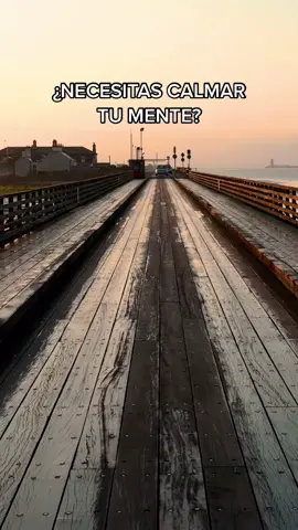 Ayuda a tu mente a ir a un lugar de calma 💫 #despertandopodcast #ansiedad #mindful #mindfulness #calma #relajacion