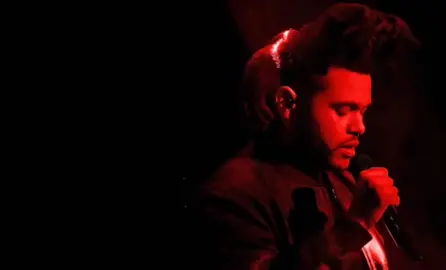 wasted times remix #theweeknd #theweekndedit #xo #fyp #theweekend #wastedtimes #weeknd
