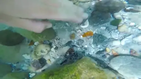 #sea #seaded #thetitanic #submarine