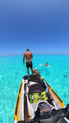 coupla clips of my life on the ocean