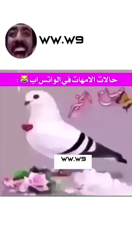 الدعوه ضحك افضل حساب لضحك وطقطقه😂طق فولوا ولايك وحركه اكسبلور الله يسعدكادعموني#كومنت_فاوووضي #اكسبلور #الرياض #ضحك #مستر_مفصول #حلاوة_اللقاء