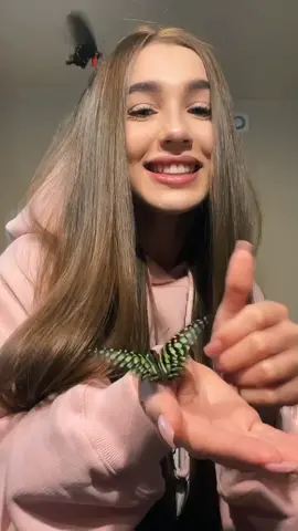Я мама бабочек 🤍🦋🦋🦋 они такие красивыеееее #rek #fup
