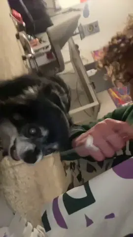 @itsqcp @yunggravy @faithordway7 #Pudgywoke