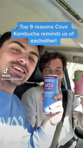 Too 9 reasons why Kombucha reminds us of each other! #ad