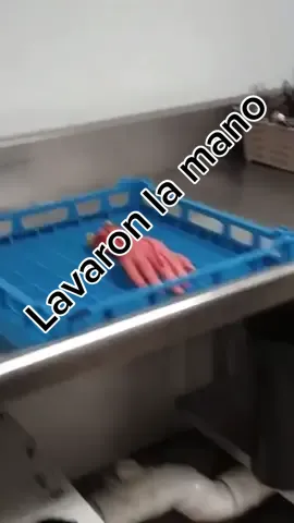 🤚🏼 saludame #broma #manofalsa #joke #OhNo #siliconhand #dishwasher #restaurant #fyp #AprilFools