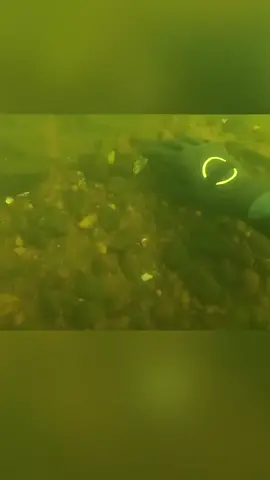 #sea #seaded #thetitanic