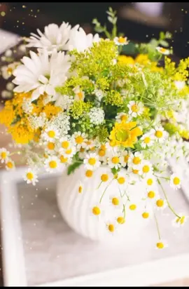 #сдобрымутром #хорошегодня #удачногодня #хорошегонастроения #друзьям #рекомендации #врек #foryou