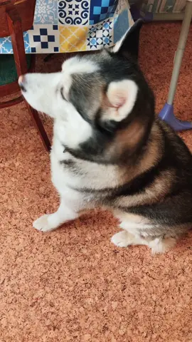 ￼😅😅😅 ну а что ?