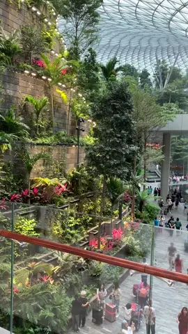 Самый красивый аэропорт в мире. #beautiful, #красивое, #singapore #changi, #airport, #сингапур, #аэропорт