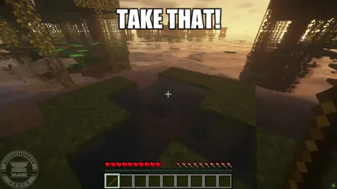 don't stick swamp water... #mcyt #mctwitch #beesechurger #shrek #atlantis #mcfyp #mcmeme #swampbiome #oceanbiome