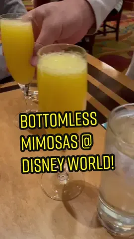 The Wave at the Contemporary Resort! #disneytiktok #waltdisneyworld #disneytips #wdw #disneysecrets #disneybrunch #orlandoflorida #disneyparks