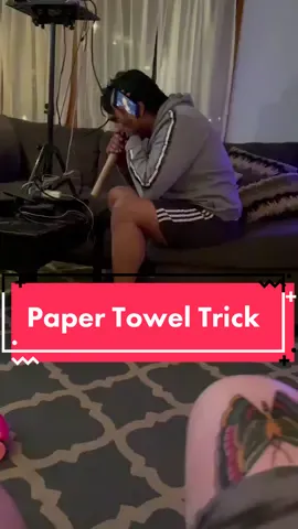 I’m dead 😂 #papertowelchallenge #lion #tiger #funny #fyp #dead
