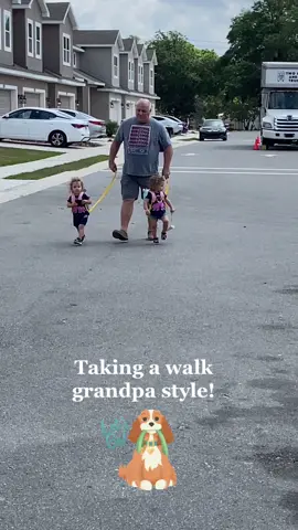 Grandpa taking the twins for a walk! #grandparentsoftiktok #walkingchallenge #fyp #twinsoftiktok
