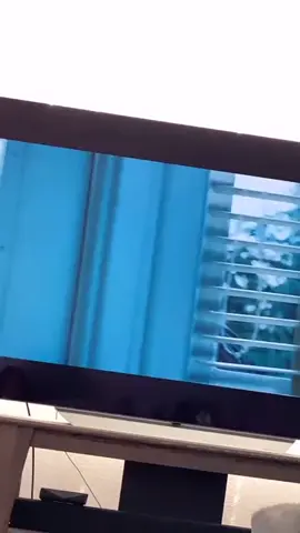 #stitch with @haze_ah needed this twilight. #twilight #vampires #vampire #funny