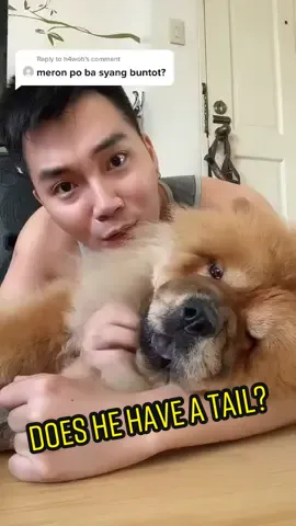 Reply to @h4woh #gonta