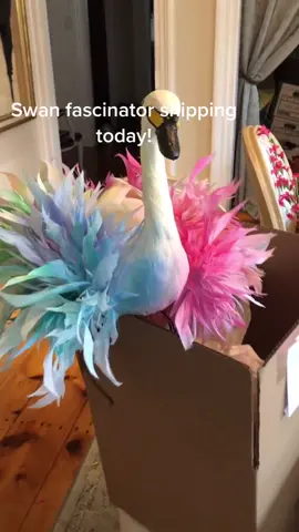#swanlake #swanfashion #kentuckyderby #fascinatorhats #ladiesluncheon #fascinator #churchilldowns