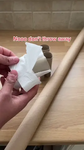 How to make a planter/pot using old toilet rolls #plants #tiktokdiy #DidYouKnow #upcycle #seeds #plantdad