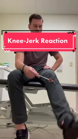 There is your fast talking fun fact of the day, please carry on